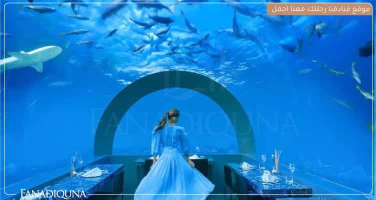 المطاعم-تحت-البحر-في-منتجع-You-Me-Maldives