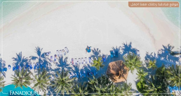 جلسات على الشاطئ