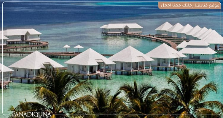 منتجع Diamonds Athuruga Maldives Resort جزر المالديف 7 نظام المنتجع في منتجع Diamonds Athuruga Maldives Resort