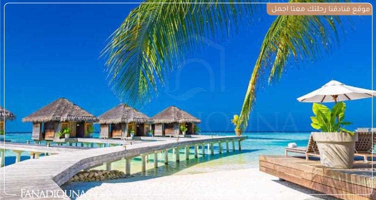 شهر العسل فنادق جزر المالديف بأسعار رائعة وخصومات قوية 1 شهر العسل فنادق جزر المالديف بأسعار رائعة وخصومات قوية