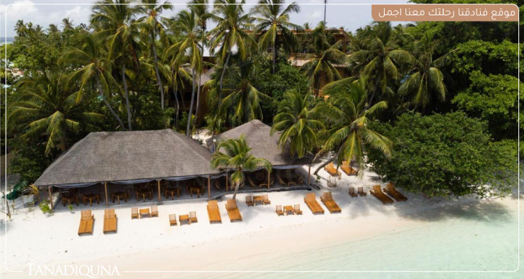 أفضل 10 فنادق المالديف 5 نجوم لعام 2025 9 فندق Ecoboo Maldives